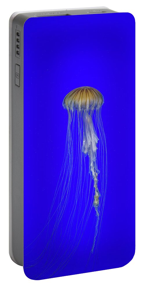 #jellyfish #art #aquarium #sea #ocean #nature #fish #water #photography #sealife #underwater #marinelife #japan #japanese #blue #yellow #gold Portable Battery Charger featuring the photograph Japanese Jellyfish #17 by Kenny Thomas