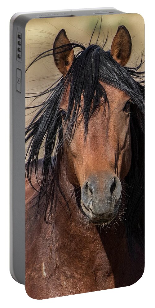  Portable Battery Charger featuring the photograph 1dx26438 by John T Humphrey
