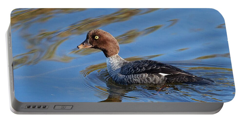 Animal Portable Battery Charger featuring the photograph Barrow's Goldeneye Iceland #2 by Markus Varesvuo / Naturepl.com