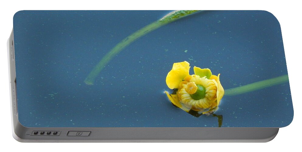 Background Portable Battery Charger featuring the photograph Flowers in the garden and close-up for background #2 by Oleg Prokopenko