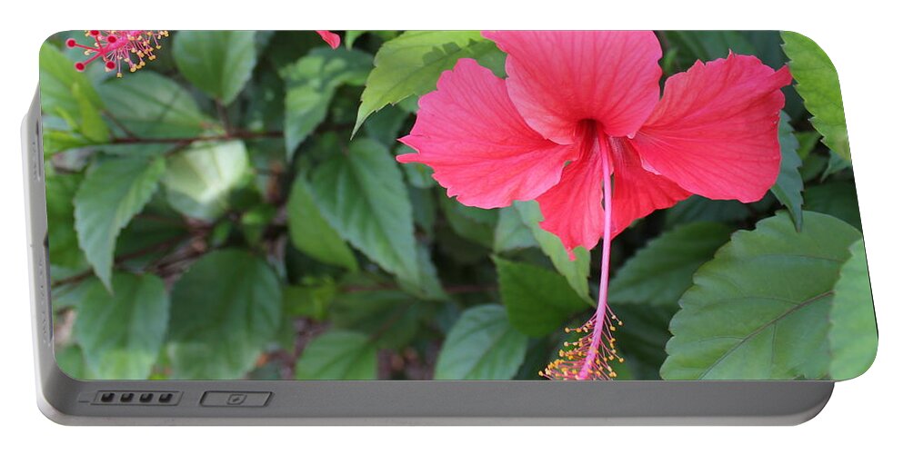 Tropics Portable Battery Charger featuring the photograph 2 Hibiscus by Ruth Kamenev