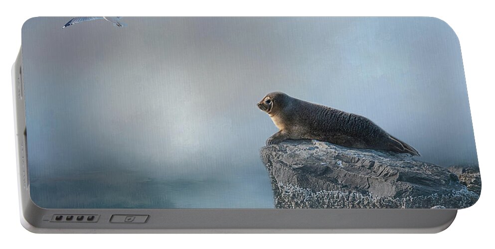 Seal Portable Battery Charger featuring the photograph On The Rocks by Cathy Kovarik