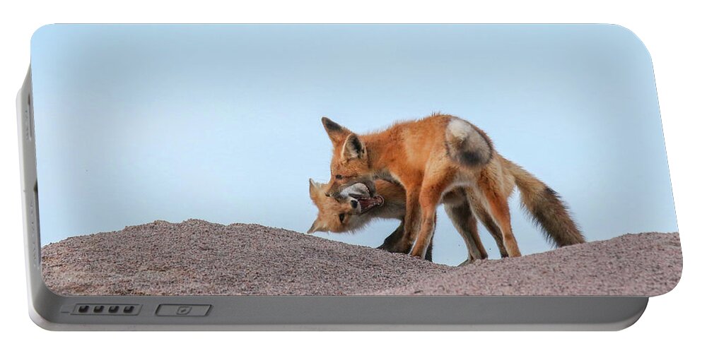 Red Portable Battery Charger featuring the photograph Playful Fox Kits #2 by Brook Burling