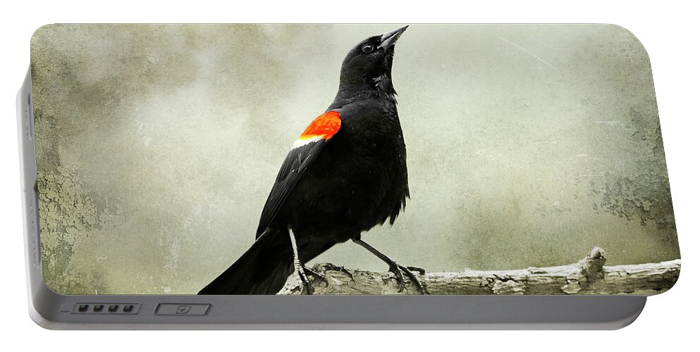 Bird Portable Battery Charger featuring the photograph Vintage Blackbird by Christina Rollo