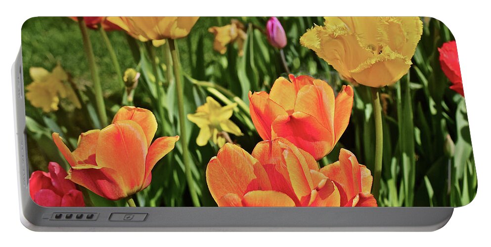 Tulips Portable Battery Charger featuring the photograph 2019 Acewood Tulips and Daffodils 1 by Janis Senungetuk