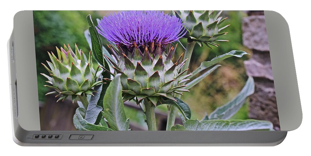 Thistle Portable Battery Charger featuring the photograph 2019 August at the Gardens Thistle by Janis Senungetuk