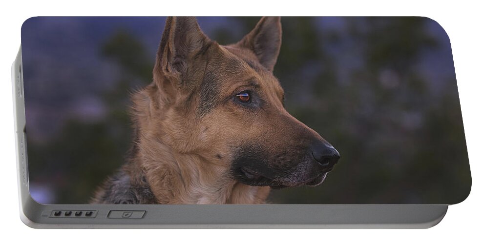 Animal Portable Battery Charger featuring the photograph Liesl #23 by Brian Cross