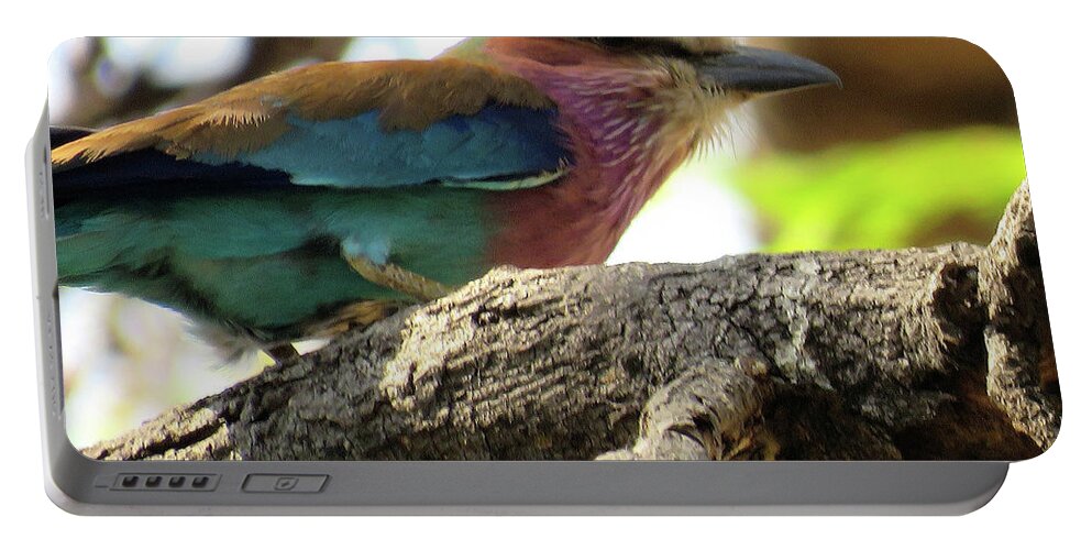Africa Portable Battery Charger featuring the photograph Bird #3 by Eric Pengelly