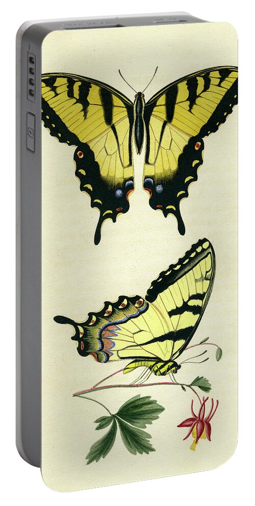 Entomology Portable Battery Charger featuring the photograph Butterflies by Unknown