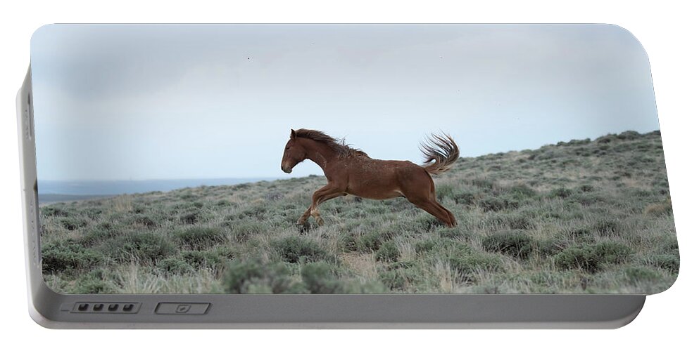 Wyoming Portable Battery Charger featuring the photograph Wyoming Wild Horses #5 by Patrick Nowotny