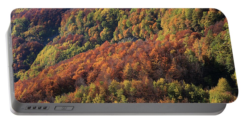 Paesaggio Portable Battery Charger featuring the photograph Autunno #4 by Simone Lucchesi