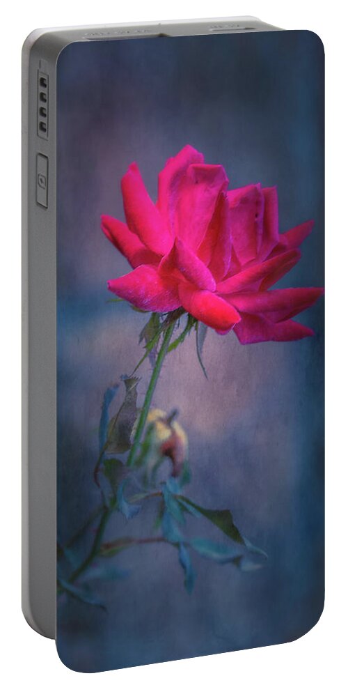 Rose Portable Battery Charger featuring the photograph Rose of Summer by Allin Sorenson