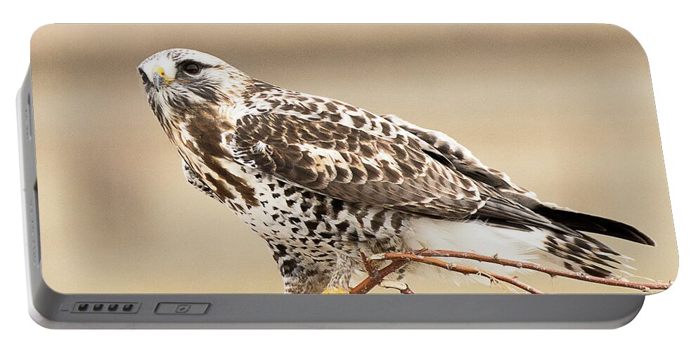 Bird Portable Battery Charger featuring the photograph Rough-legged Hawk #4 by Dennis Hammer