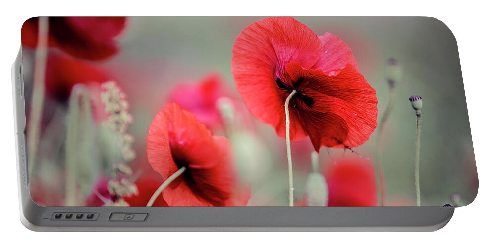 Poppy Portable Battery Charger featuring the photograph Red Corn Poppy Flowers #5 by Nailia Schwarz