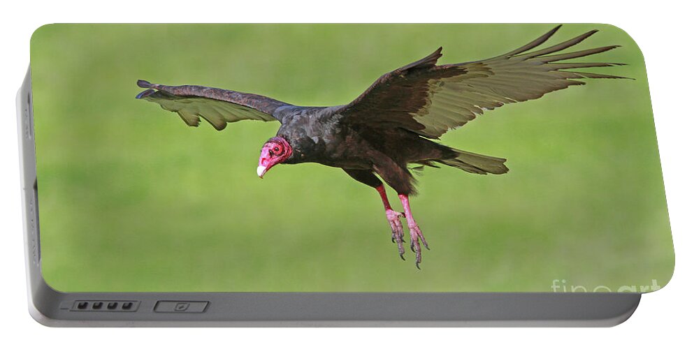 Turkey Vulture Portable Battery Charger featuring the photograph Turkey Vulture #6 by Gary Wing