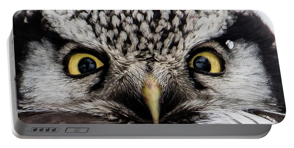 Northern Hawk Owl Portable Battery Charger featuring the photograph A closeup of The Northern Hawk Owl by Torbjorn Swenelius