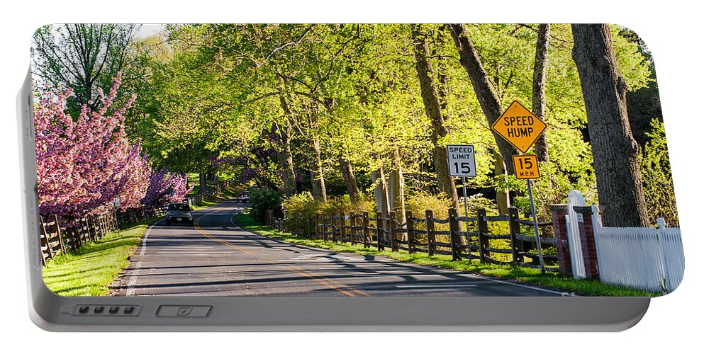 Landscape Portable Battery Charger featuring the photograph A Country Lane on a Springtime Afternoon by Steve Ember