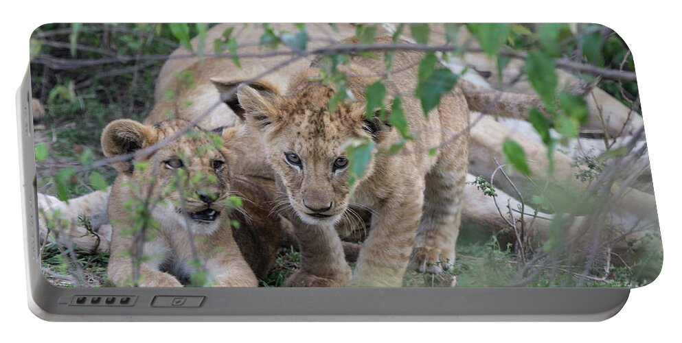 Lion Portable Battery Charger featuring the photograph A Cub on the Prowl by Mark Hunter