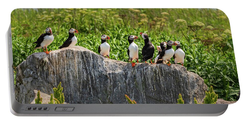 Puffins Portable Battery Charger featuring the photograph A Gathering of Puffins by Scene by Dewey