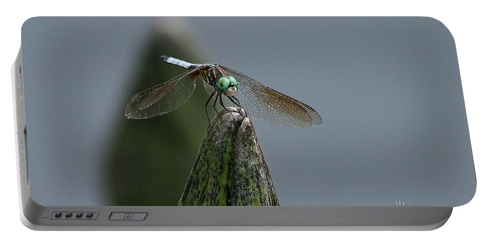 Waterlily Portable Battery Charger featuring the photograph A Launch Pad by Yvonne Wright