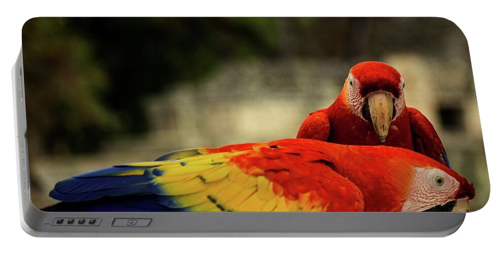 Ara Portable Battery Charger featuring the photograph A pair of scarlet macaws by Robert Grac