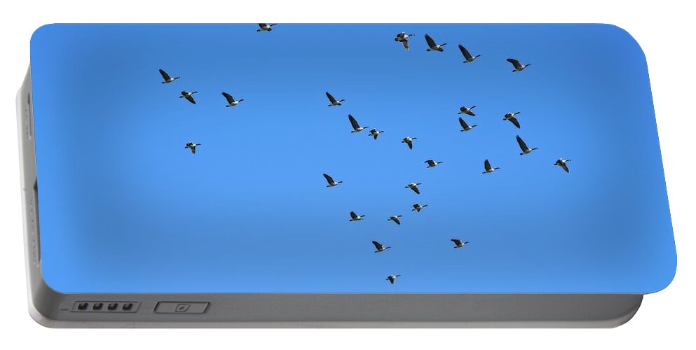 Landscape Portable Battery Charger featuring the photograph A Smattering Of Geese In Flight by Allan Van Gasbeck