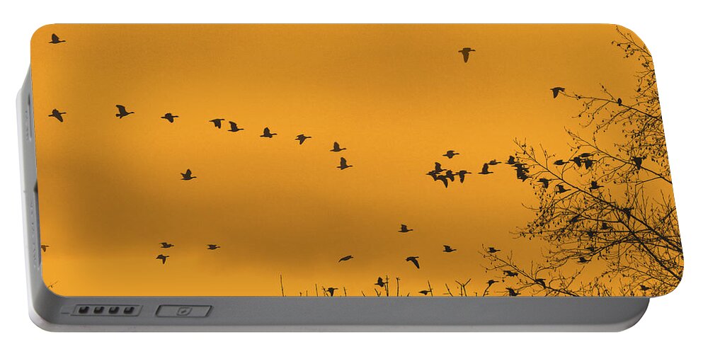 Canadian Geese Portable Battery Charger featuring the photograph A Winters Sky by Scott Cameron