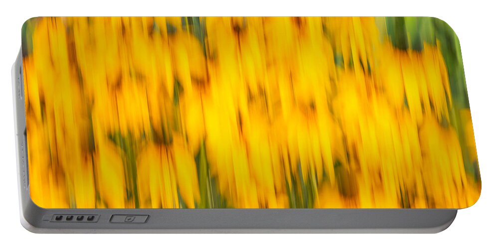 Sunflowers Portable Battery Charger featuring the photograph Abstract Rudbeckia 2018-1 by Thomas Young