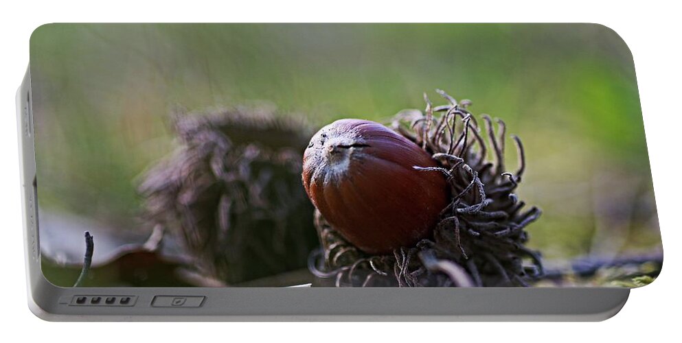 Acorn Portable Battery Charger featuring the photograph Acorn close up by Martin Smith