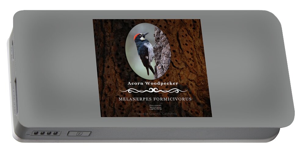 Woodpecker Portable Battery Charger featuring the digital art Acorn Woodpecker Granary Tree by Lisa Redfern