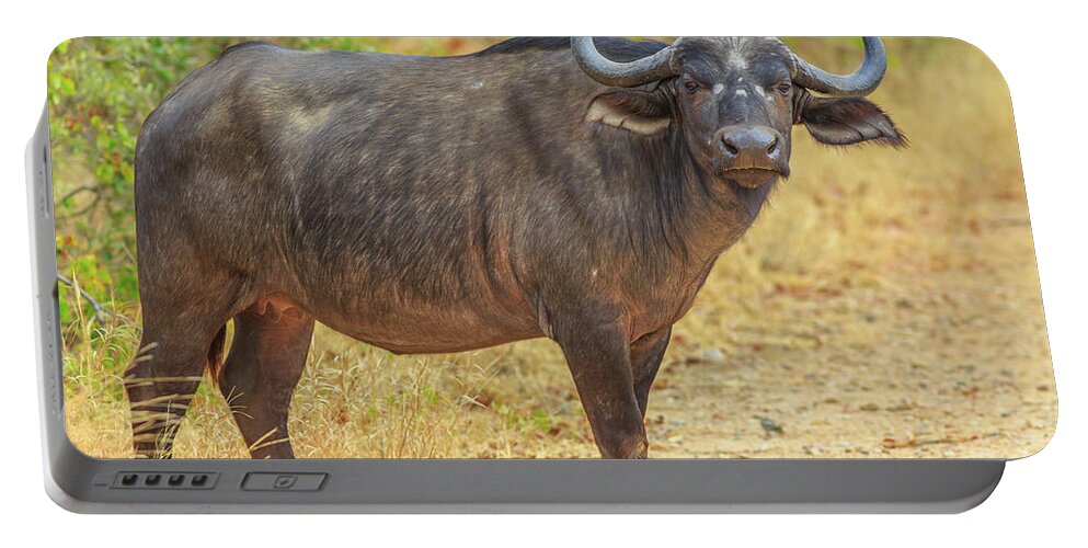 Buffalo Portable Battery Charger featuring the photograph African buffalo Kruger by Benny Marty