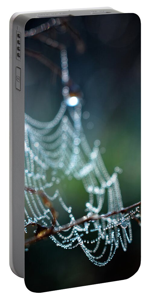 Cobweb Photo Portable Battery Charger featuring the photograph After by Michelle Wermuth