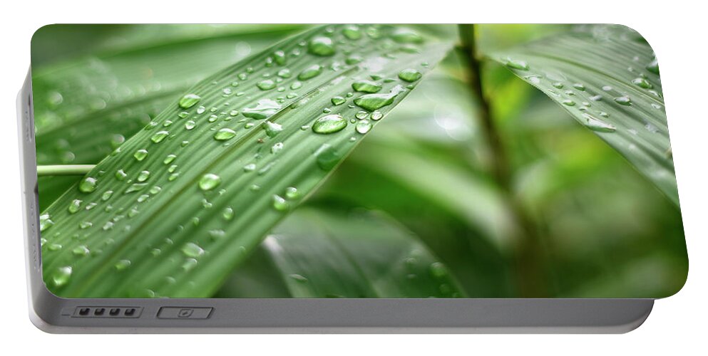 Waterdrops Portable Battery Charger featuring the photograph After Rain by Hilda Fiany