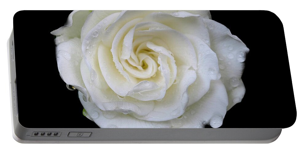 Flower Portable Battery Charger featuring the photograph After the rain by Rick Redman