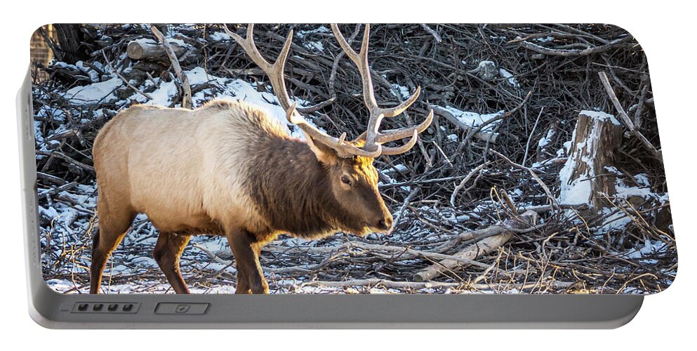 Alaska Portable Battery Charger featuring the photograph Alaska Stag by Framing Places