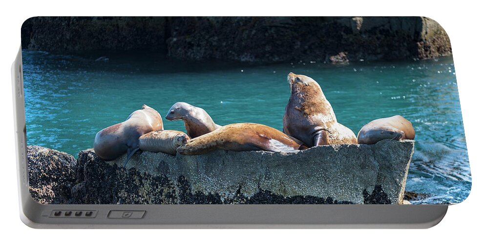Alaska Coastline Portable Battery Charger featuring the photograph Alaska Steller Sea lions by Scott Slone