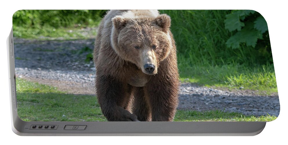 Bear Portable Battery Charger featuring the photograph Alaskan Brown Bear walking towards you by Mark Hunter