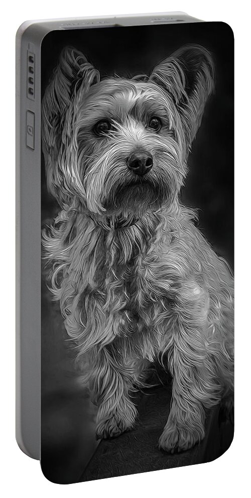 Adorable Portable Battery Charger featuring the photograph Alert by Maria Coulson
