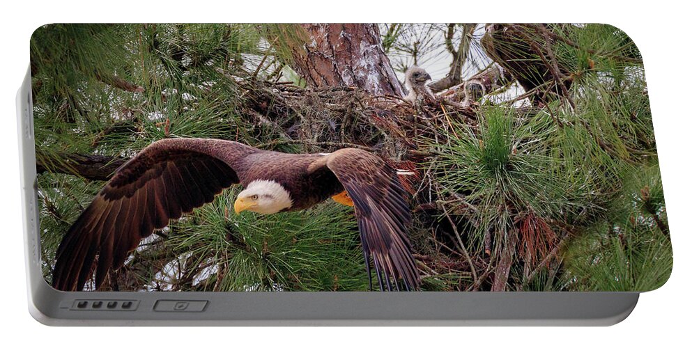 Eagle Portable Battery Charger featuring the photograph All About Family by JASawyer Imaging