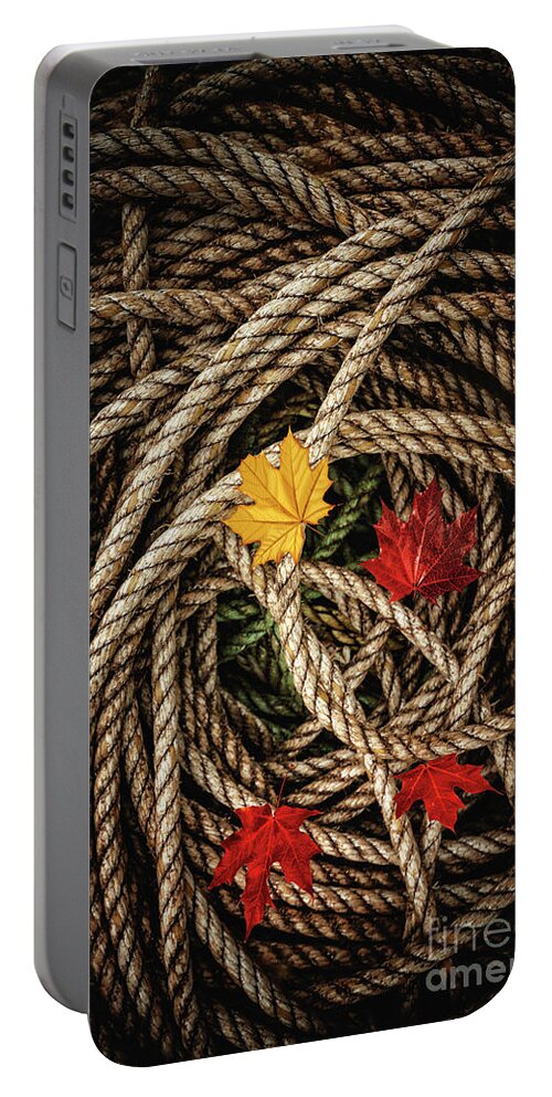 Kremsdorf Portable Battery Charger featuring the photograph All Falls Down by Evelina Kremsdorf
