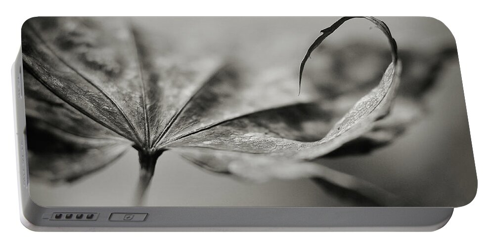 Black And White Portable Battery Charger featuring the photograph All In by Michelle Wermuth