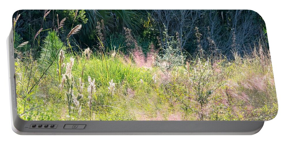 Grasses Portable Battery Charger featuring the photograph All the Pretty Grasses by Mary Ann Artz