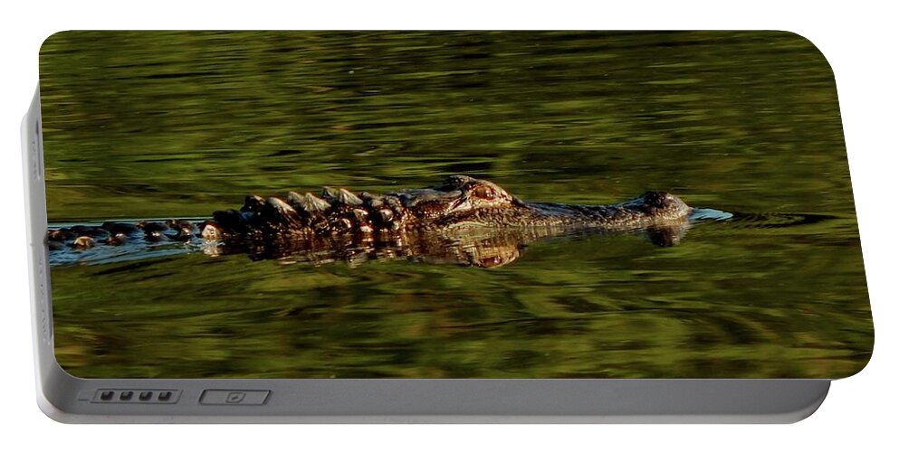 Animals Portable Battery Charger featuring the photograph Alligator by Karen Stansberry