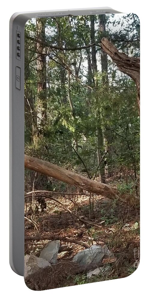 Tree Portable Battery Charger featuring the photograph Alligator Tree by Stacy C Bottoms