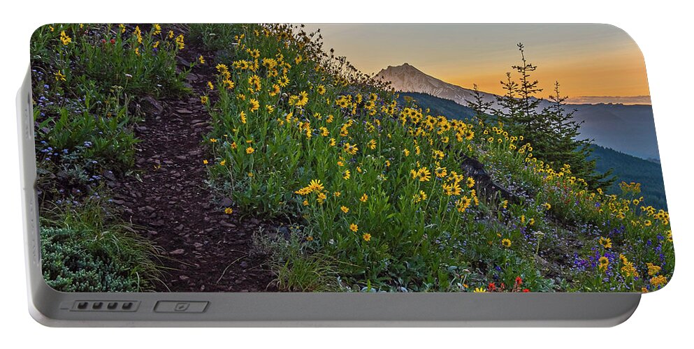 2019-06-30 Portable Battery Charger featuring the photograph Along the trail. by Ulrich Burkhalter