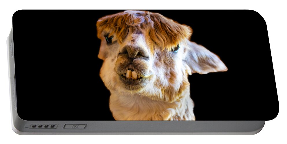 Alpaca Portable Battery Charger featuring the photograph Alpaca What by Jonny D