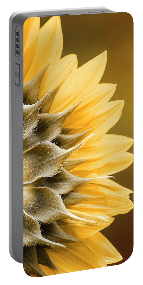 Sunflower Portable Battery Charger featuring the photograph Amber Sunflower by Christina Rollo