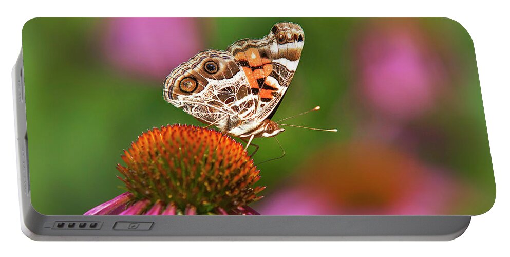 Butterfly Portable Battery Charger featuring the photograph American Painted Lady Butterfly by Christina Rollo