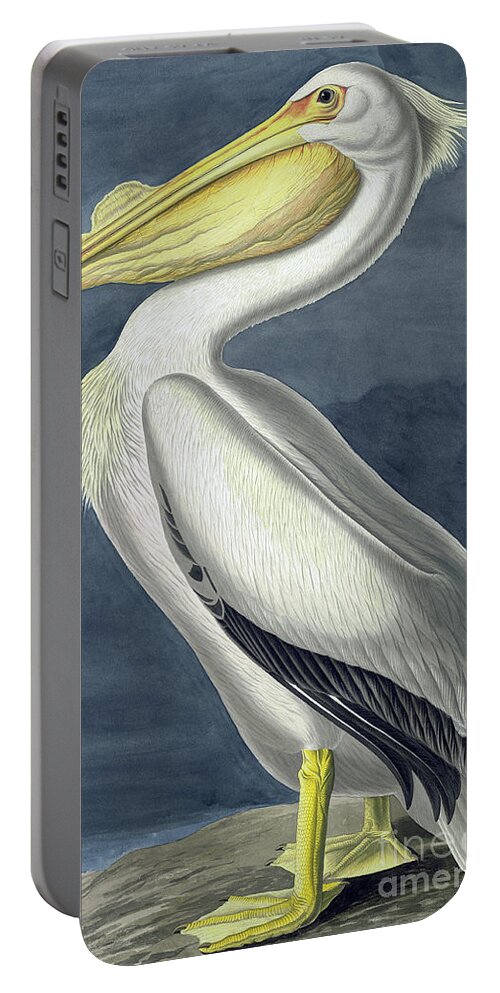 Pelican Portable Battery Charger featuring the painting American White Pelican, Pelecanus Erythrorhynchos by John James Audubon by John James Audubon
