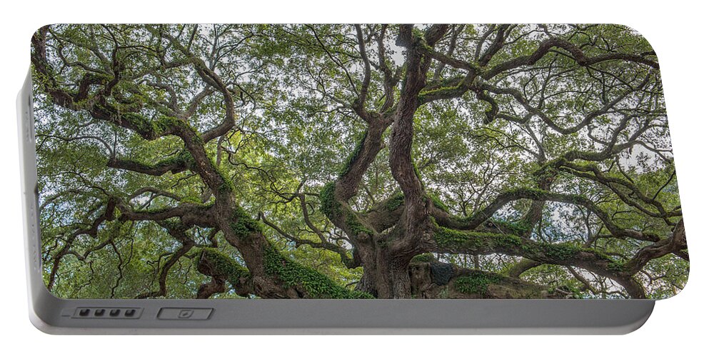 Angel Oak Tree Portable Battery Charger featuring the photograph Angel Limbs - Johns Island by Dale Powell